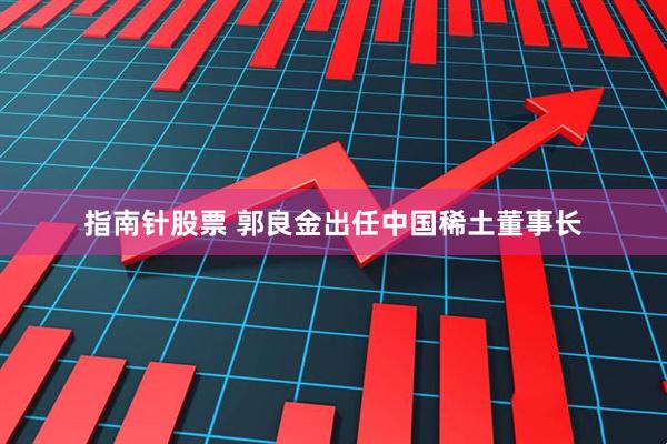 指南针股票 郭良金出任中国稀土董事长
